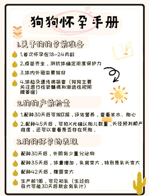 孕期养狗狗注意事项