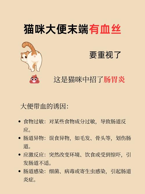 猫瘟便血是好转迹象吗