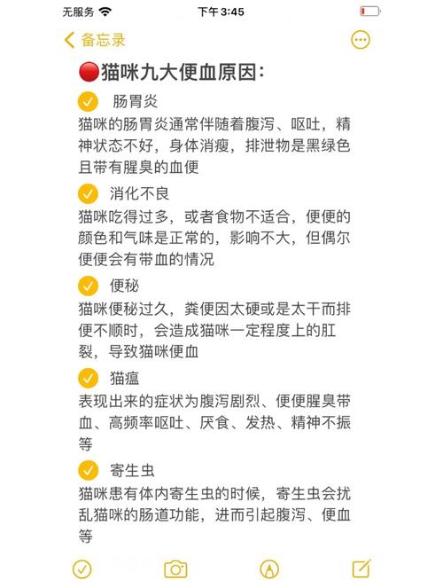 猫咪大便中带血是什么原因导致的?