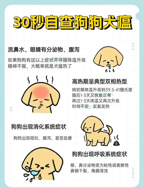 狗狗得了犬瘟(狗瘟)怎么办?