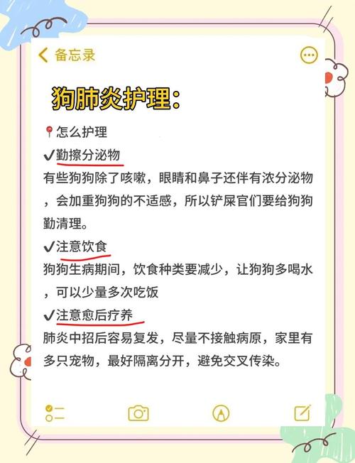 狗狗上呼吸道感染怎么治?