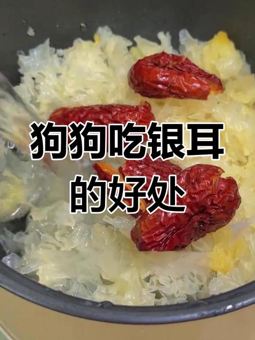 狗狗能不能喝银耳汤