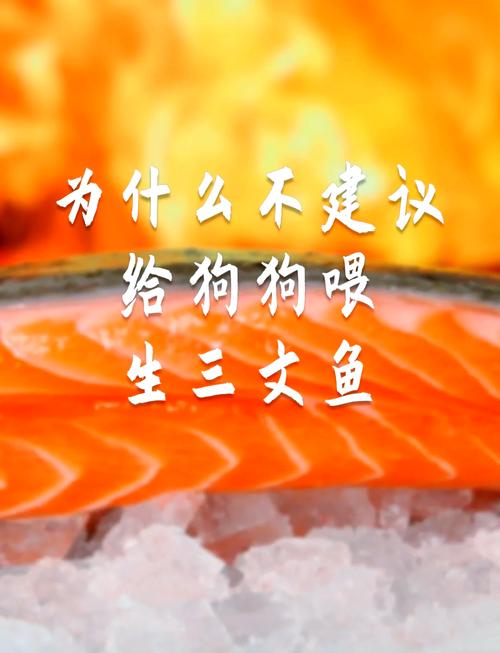 狗狗吃三文鱼的好处和坏处