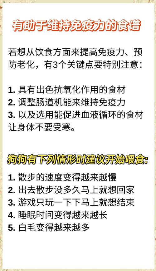 幼犬抵抗力不好怎么办
