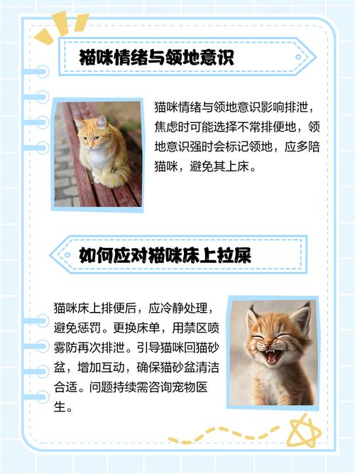猫拉屎在床上是报复吗
