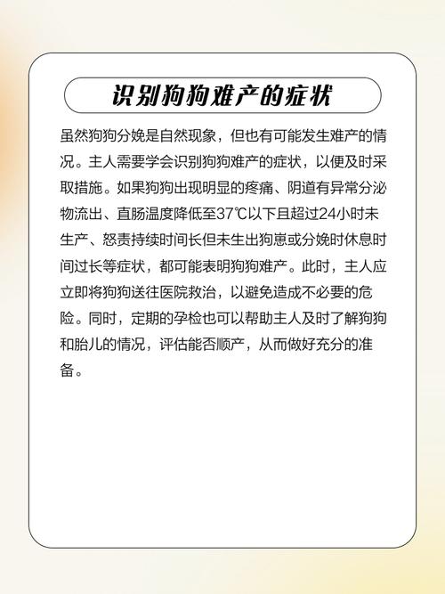 狗狗怀孕生产前的预兆