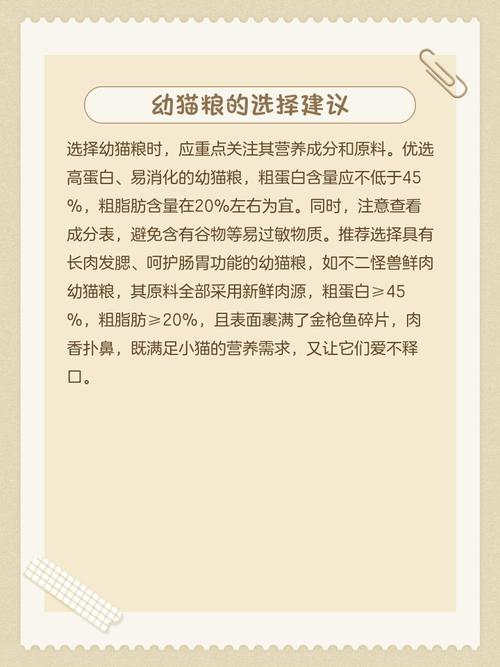 刚满月的猫咪吃什么怎么喂