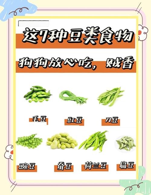 狗狗为什么爱吃毛豆
