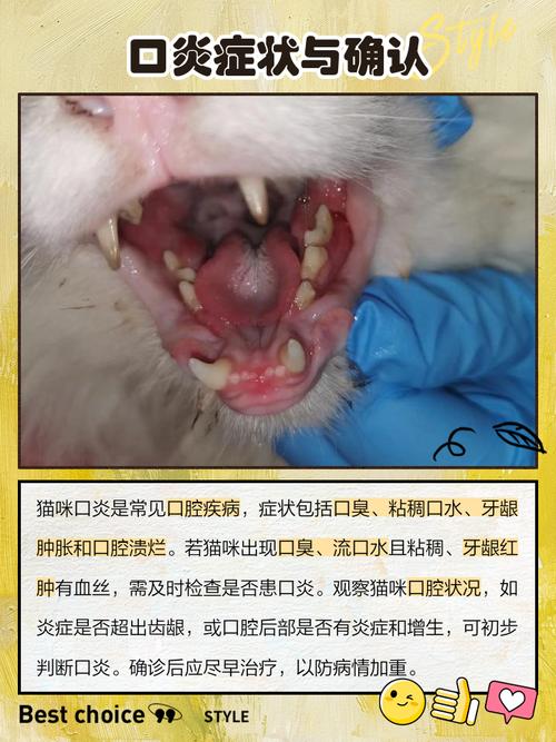 猫口腔溃疡吃什么药