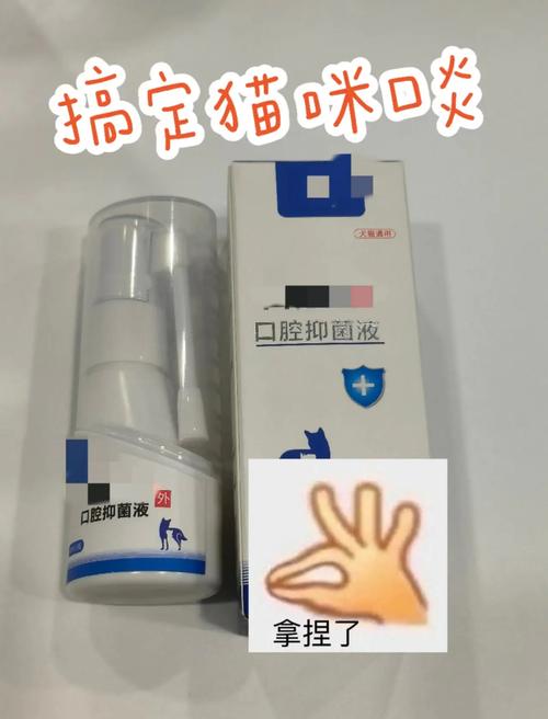 猫咪嘴巴溃疡用什么药效果快