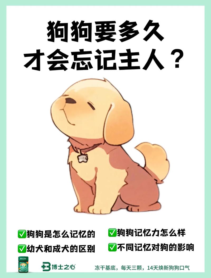 狗狗多长时间能忘记自己的主人?
