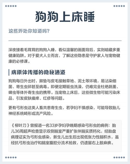 狗睡床上对家里好不好