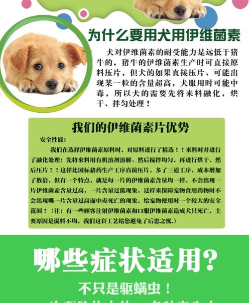 宠物店卖病狗打什么抗生素