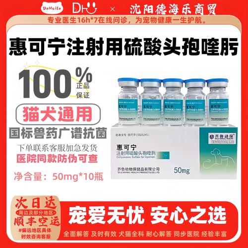 犬用抗生素有什么不好