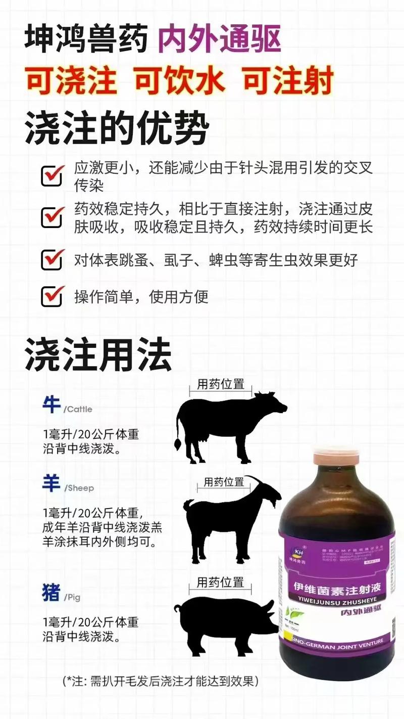 狗狗打消炎针的害处