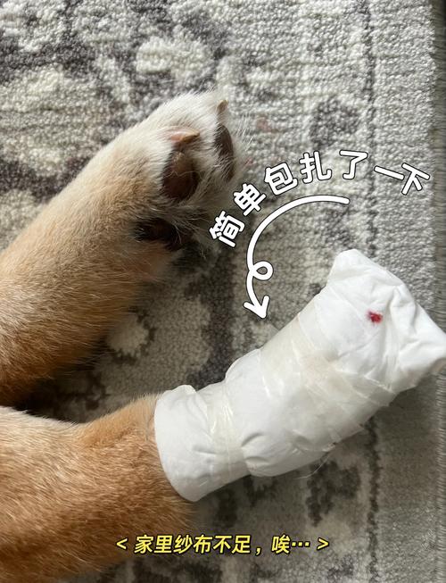 剪到狗狗血线会自愈吗