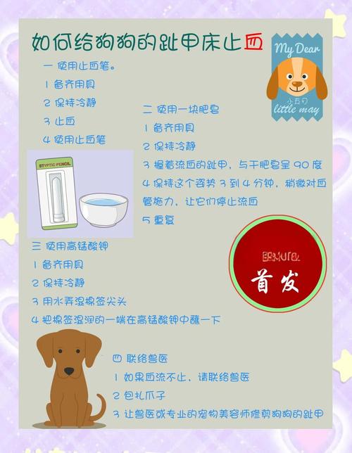 给狗剪指甲剪到血线一直流血怎么办啊