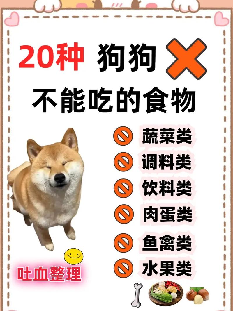 狗可以吃饭吗不要长期给狗狗喂食米饭!