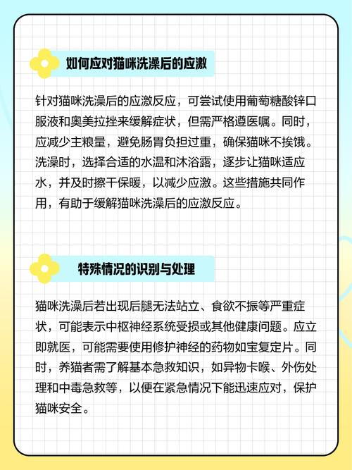 小猫洗完澡没精神一直睡觉怎么办