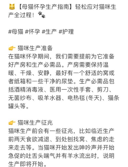 猫怀孕应该注意什么