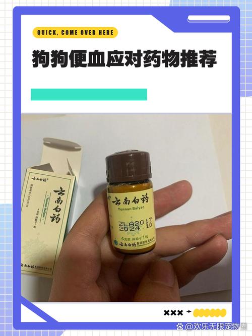 狗狗吃完骨头后便血吃什么药?