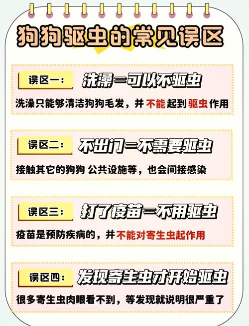 为什么狗狗身上蜱虫密密麻麻的