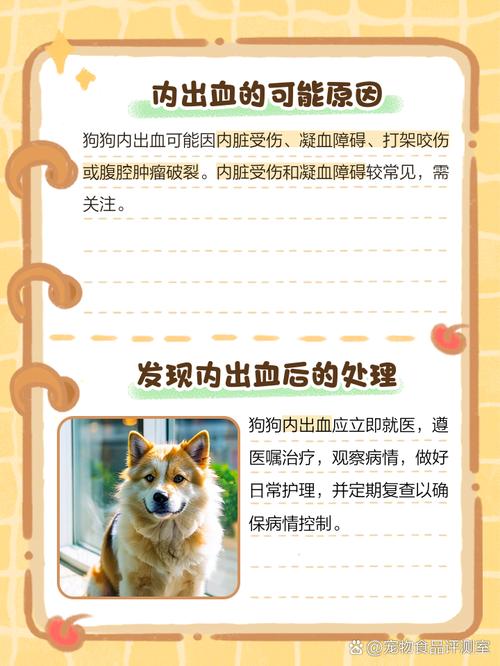 宠物狗肠道出血该怎么办?