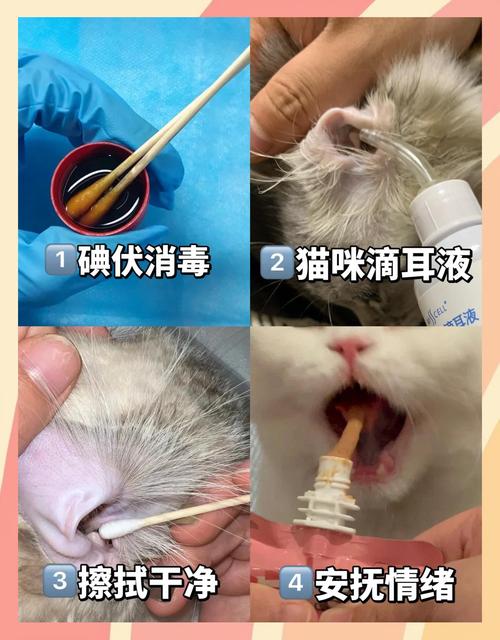 猫有耳螨用碘伏好还是酒精好