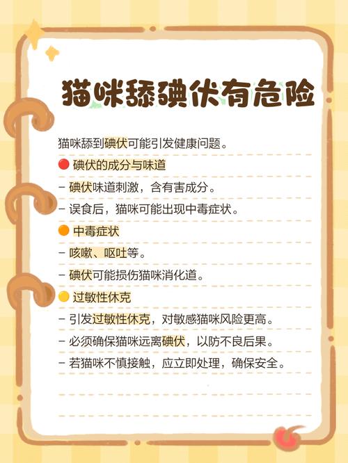 猫咪舔了伤口上的碘伏