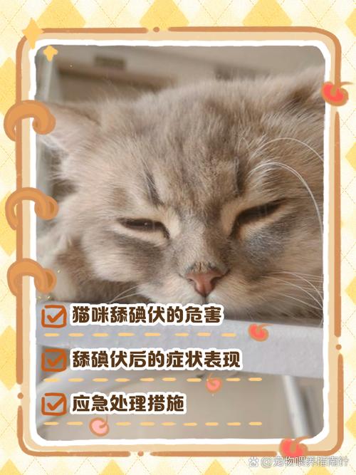猫舔到碘伏会怎样