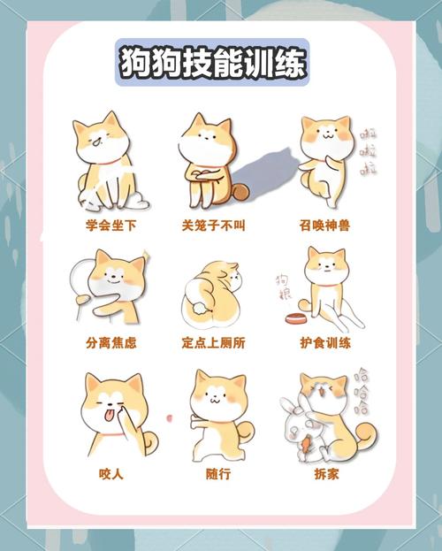 求:训练成年狗去厕所拉屎拉尿的比较好办法