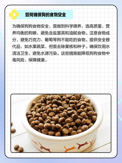 狗能不能吃绿豆