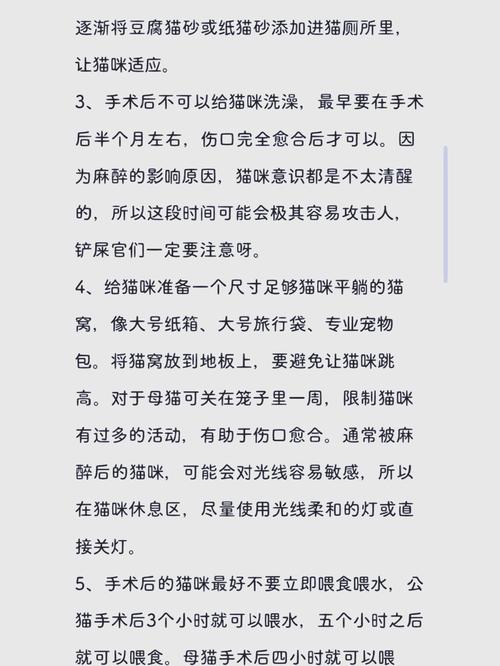 母猫绝育几天就安全了