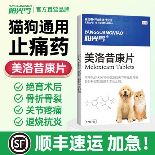 猫腿骨折了吃什么药恢复得快