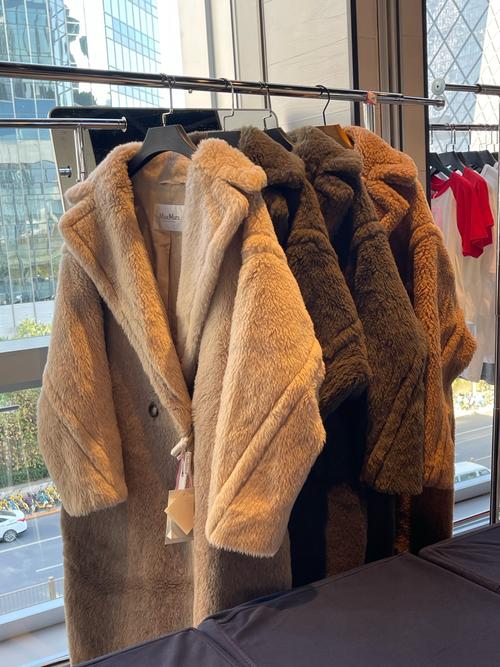 黄皮适合泰迪熊大衣哪个颜色