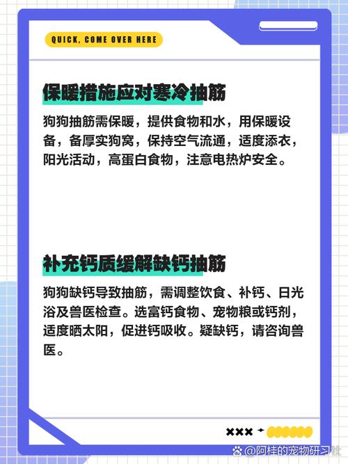 狗狗的后腿抽筋了,该怎么办?