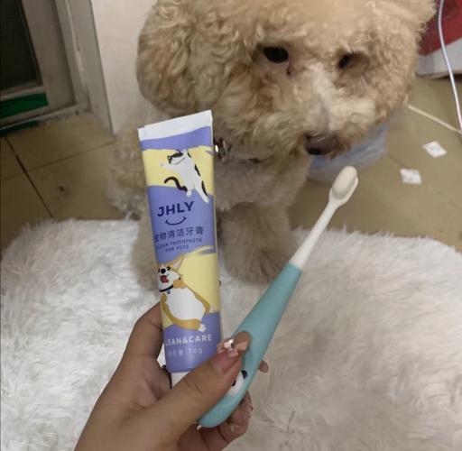 用什么代替牙膏给狗狗刷牙