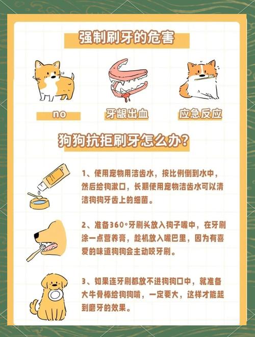 如何给狗狗刷牙?