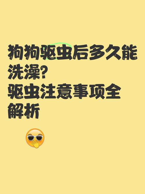 狗狗吃完驱虫药可以洗澡吗