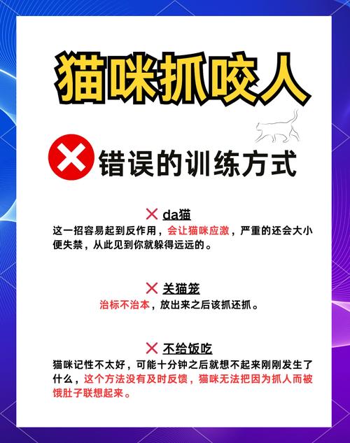 宠物猫咬人怎么教育