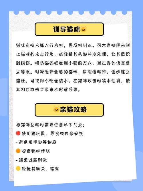 猫咬人下狠口怎么教育