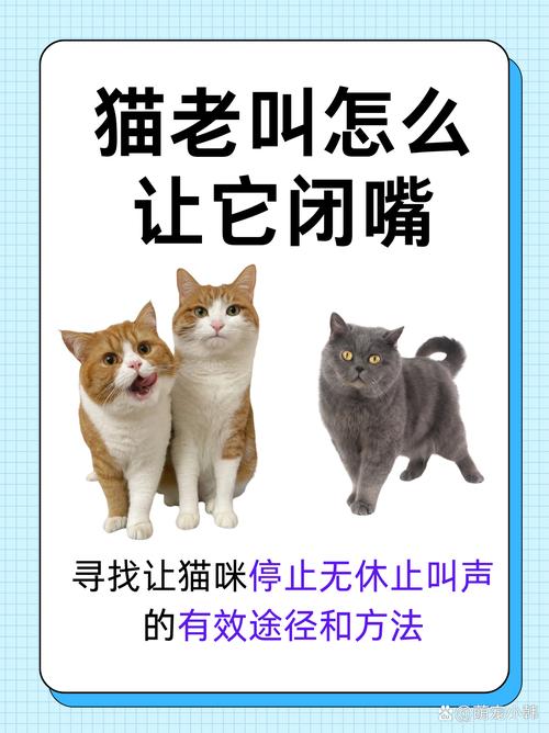 猫早上喜欢叫,通过打它的方式让它不要叫可取吗?