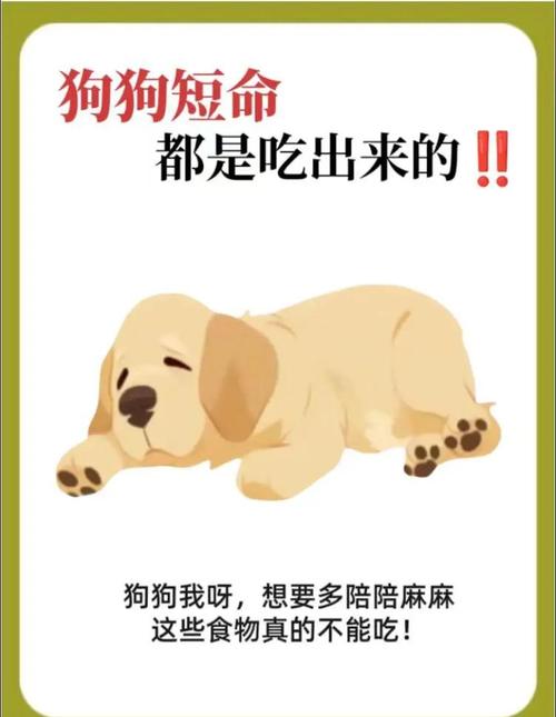 ...它吃零食,可是不知道狗狗什么时候开始可以吃零食