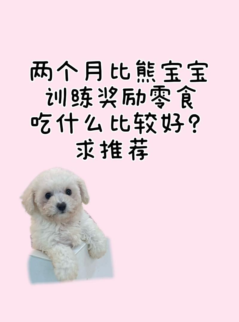 狗狗几个月能吃磨牙棒