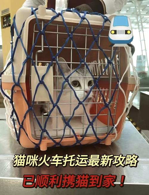 把猫咪带上火车过的了安检吗