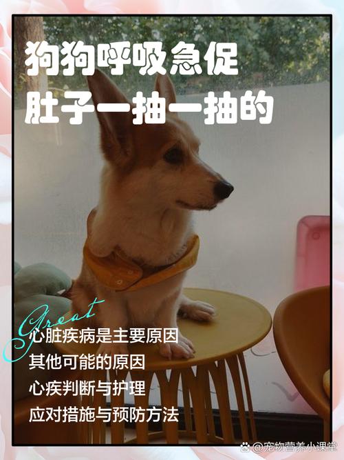 狗一抽一抽的像打嗝干呕