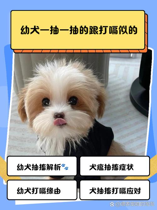 为什么狗狗总是打嗝呕吐怎么回事