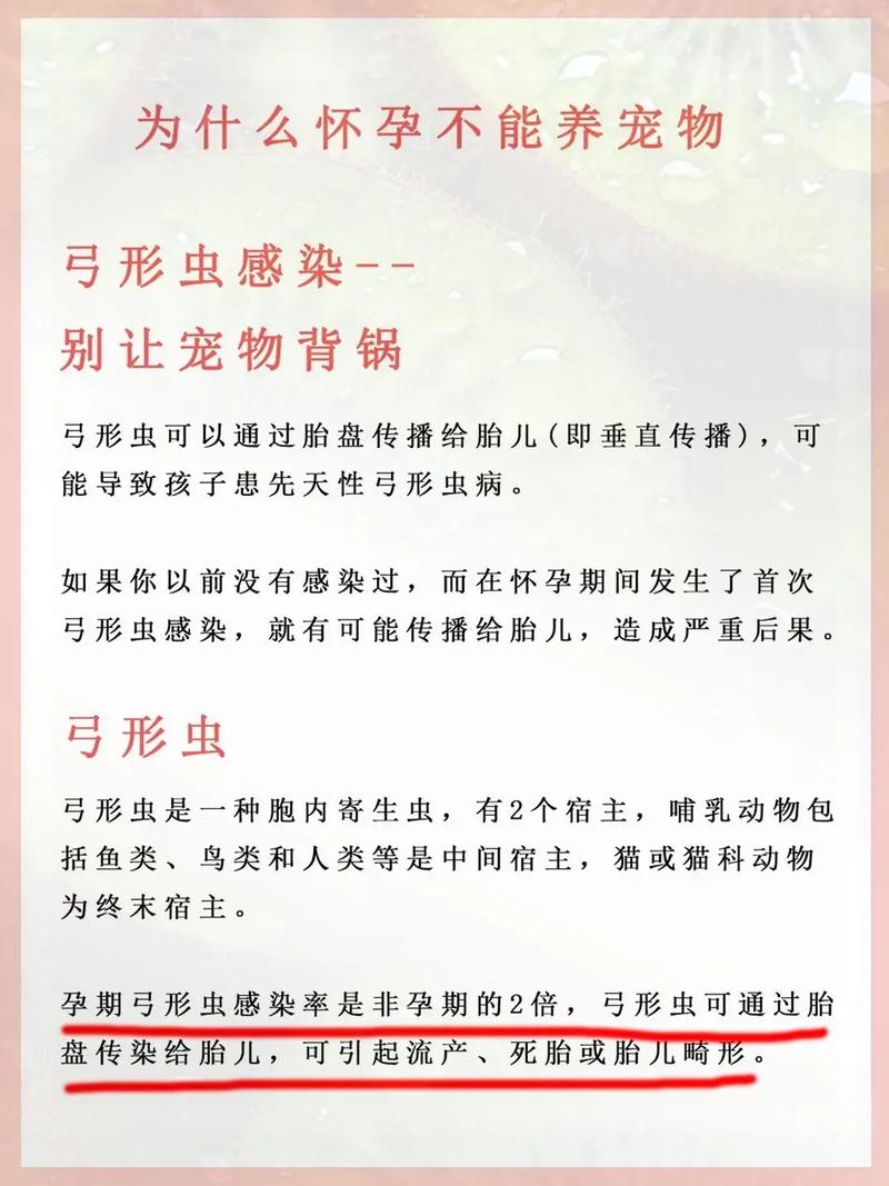 如何判断狗狗是否得了弓形虫病?