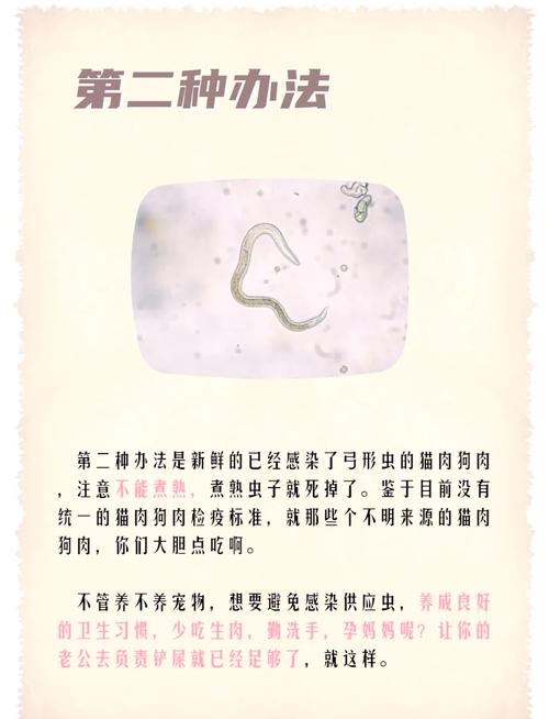 怎么判断狗狗有弓形虫?应该怎么治疗?