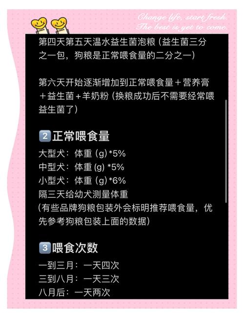 狗狗吃什么食物比较好最健康